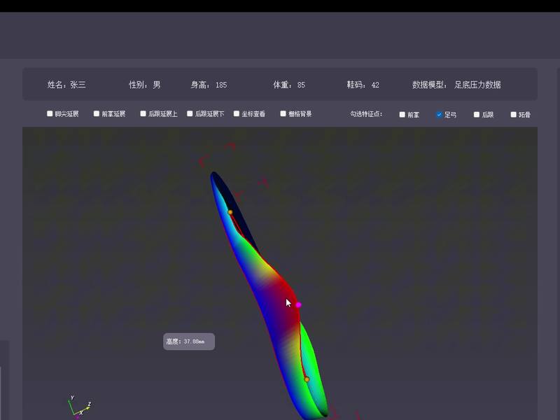 3D 打印鞋垫设计系统（SmartCAD）